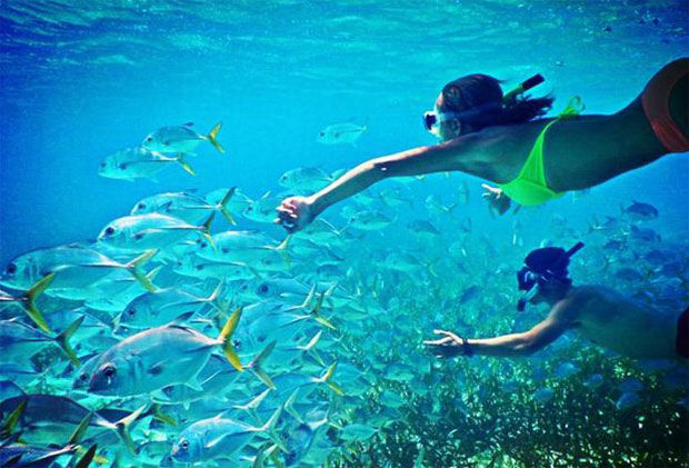 immersioni sardegna del sud ovest