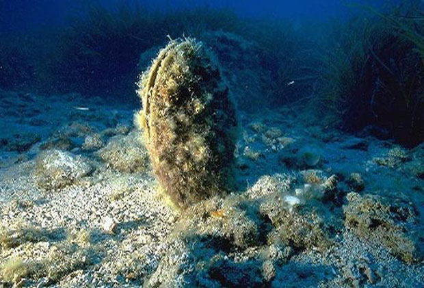 appartamenti sardegna sud